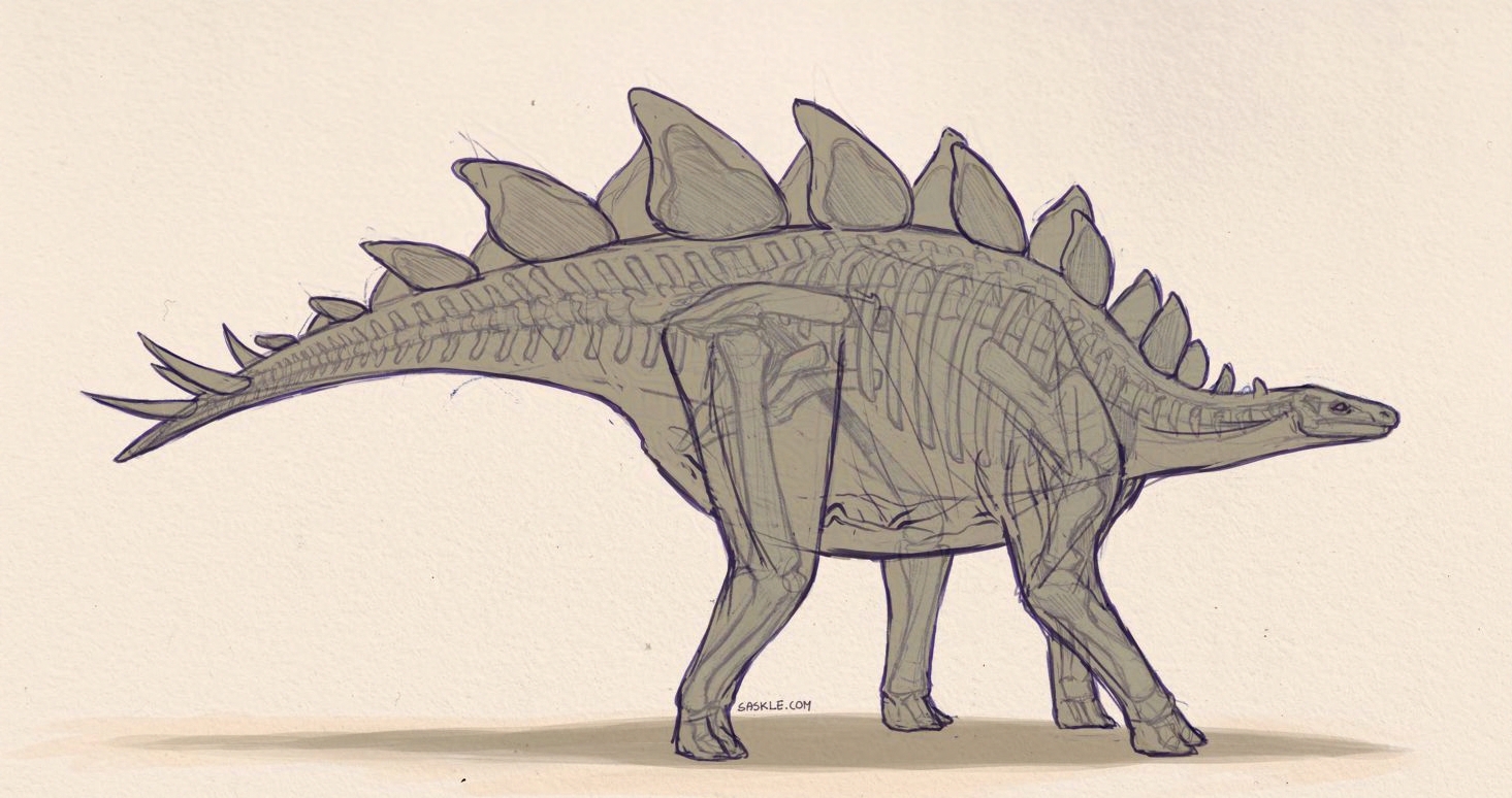Drawing Dinosaurs